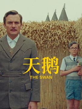 中文字幕未删减版在线观看