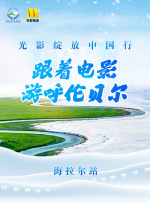1080P手机在线看